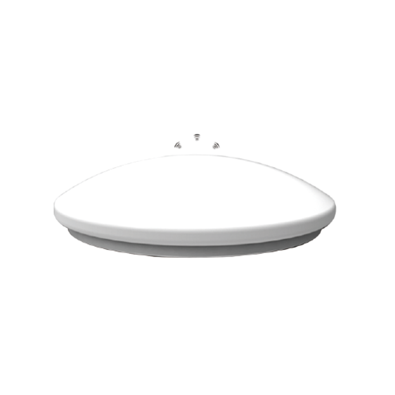 PLAFONDLAMP MET MAGNETRONINDUCTIE